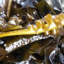 산에들에민박 이미지