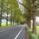 섬진강종주3 이미지