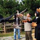 자연의 품 이미지