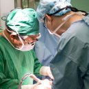 간이식 후 생활의 변화로 인한 간이식인의 삶에 미치는 영향 이미지