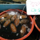 낭만수산 이미지