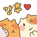 여부초밥 경북도청점
