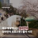 청라언덕 경관 포토 | 대구 벚꽃 명소 ‘청라언덕’ | 청라언덕 포토스팟 | 폭싹 속았수다 촬영지 | 뉴진스 디토 촬영지