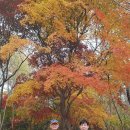 아차산 동행숲길 이미지