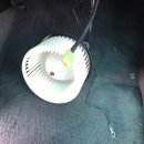 바이에바