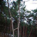 완산-115 이미지