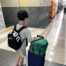 수입차 오너들의 원픽 엔진관리용품 아드레날린 연료첨가제