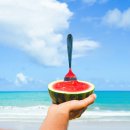 수박이네 이미지