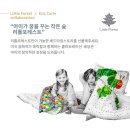 코포레스트 이미지