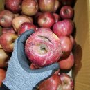 거창 진까리 부사 가정용 흠과&amp;해남 미니밤호박 특가판매!!!! 이미지