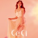 김청하 카카오 검색결과