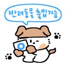 카페 누아르(Cafe Noir) 이미지