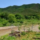 기북면사무소 이미지