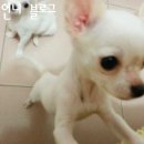 콩순이PC 이미지