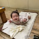 신령역돔양어장회 이미지