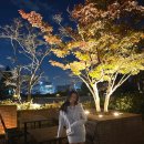 JJ놀이터 이미지