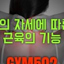 M PT GYM 이미지