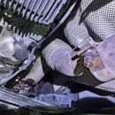 경성카센타 이미지