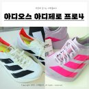 1094 | 아디오스 프로4 카본화 구입기 베를린마라톤에디션 270/ 240 사이즈 달리자 런뽀뻔 JR4947 JR1094 러닝기록