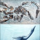 (주)큰바다 이미지