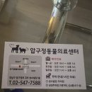 압구정 동물의료센터 이미지