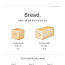 화이트리에 이미지
