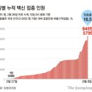 그래픽바이러스 이미지