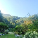 동물보육원 이미지