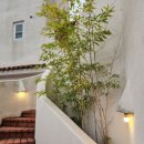 로만티카 이미지