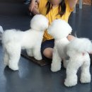 루이야학교가자 이미지