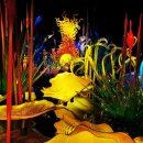 어바웃 글라스 이미지