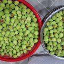 대은농장 이미지