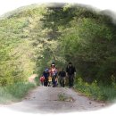 바래봉길 이미지