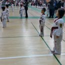 호원태권도체육관 이미지