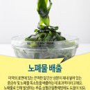 연안쭈꾸미