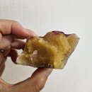 모짜르트제과점 | 곡성 로컬 빵집 모짜르트 제과점 토란빵 도전