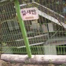 은화어린이집 이미지