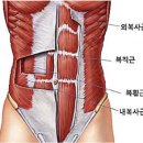 피트니스스타 머신팩토리 첨단점 이미지