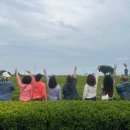 아라짱투어 이미지