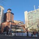 창동로데오거리 네이버블로그
