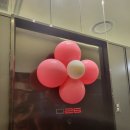 피로연장소 대치동 신사동 논현동 활력 넘치는 피로연, 퀸가라오케에서의 파티룸 후기