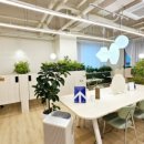 분당-145 이미지