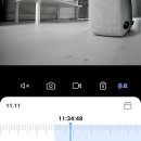 펫비서 | 가정용 국산 홈캠 씨엔케어 강아지 움직임 감지 펫 cctv 펫캠