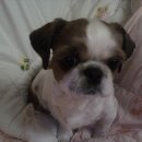 킹스마트 이미지