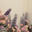 가온하우스 | 느와르블랑하우스 오후 B타입 웨딩촬영 후기 - (1)