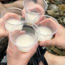 몬티첼로1 네이버블로그