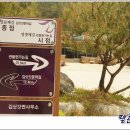 김삿갓면사무소 이미지