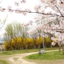 도심속의 평화 이미지