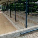 대구시지초등학교 이미지
