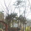 아인스빌